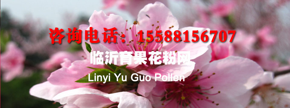 泰安興潤(rùn)建材有限公司