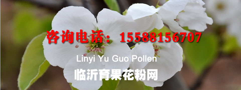 泰安井蓋廠(chǎng)家